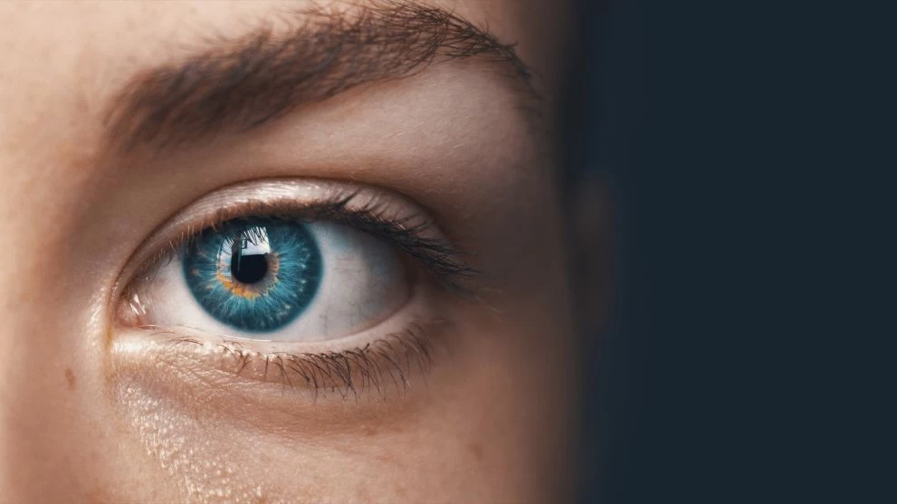 A szem támogatásáért