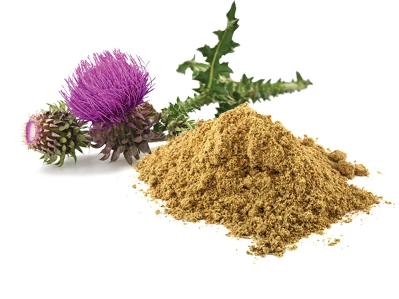 Máriatövismag-olajjal az egészséges májért