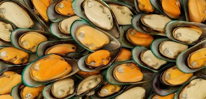 Új-zélandi zöldkagyló - mire jó?