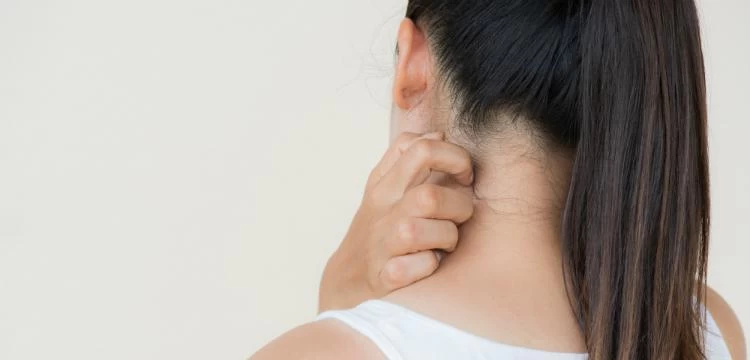 Rovarcsípések és veszélyeik - Így védekezzünk ellenük